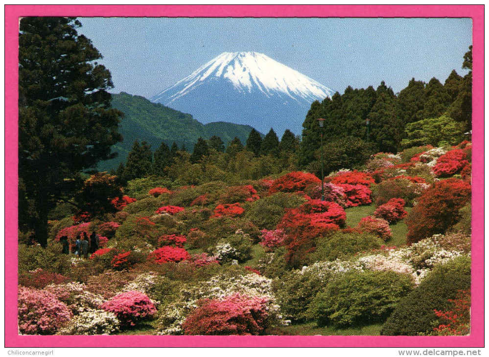 Mt Fuji In Early Spring - PUB BY NBC - 1971 - Other & Unclassified