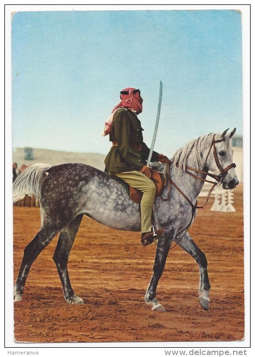 Riyadh - National Guard - H1947 - Arabia Saudita