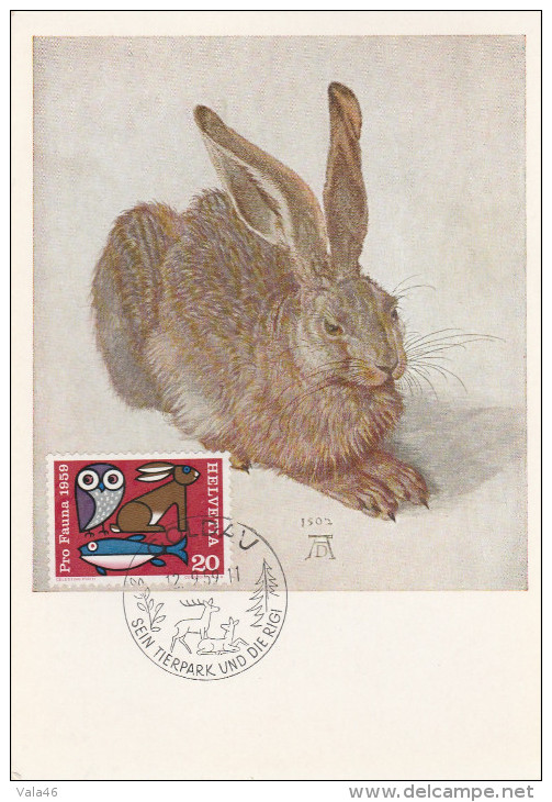 SUISSE CARTE MAXIMUM  LE LAPIN  PROTECTION DE LA FAUNE N°623 - Maximumkaarten