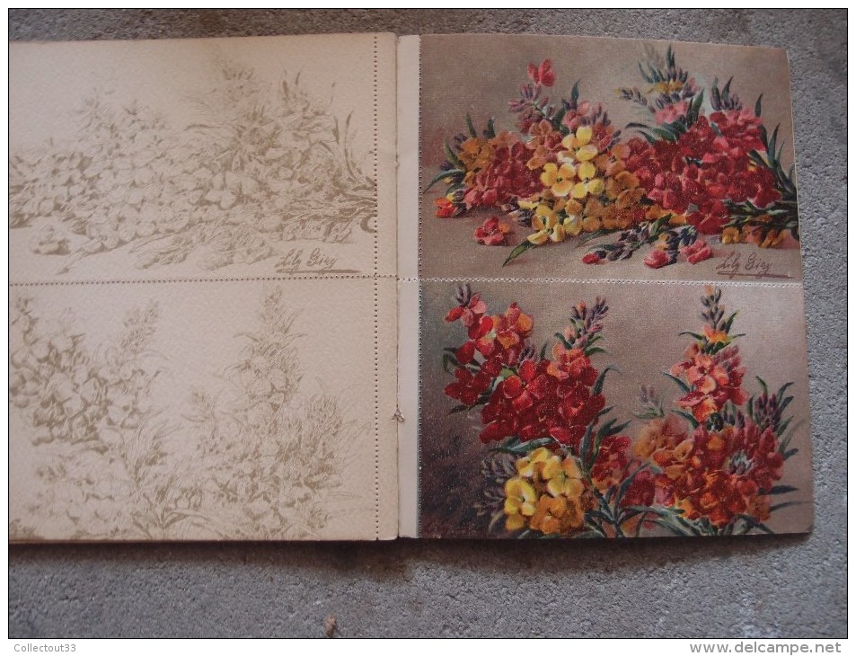 CPA Albums De Cartes Et Cartes à Colorer étude De Chrysanthèmes Et Giroflées Aquarelles De Lily Giry - Autres & Non Classés