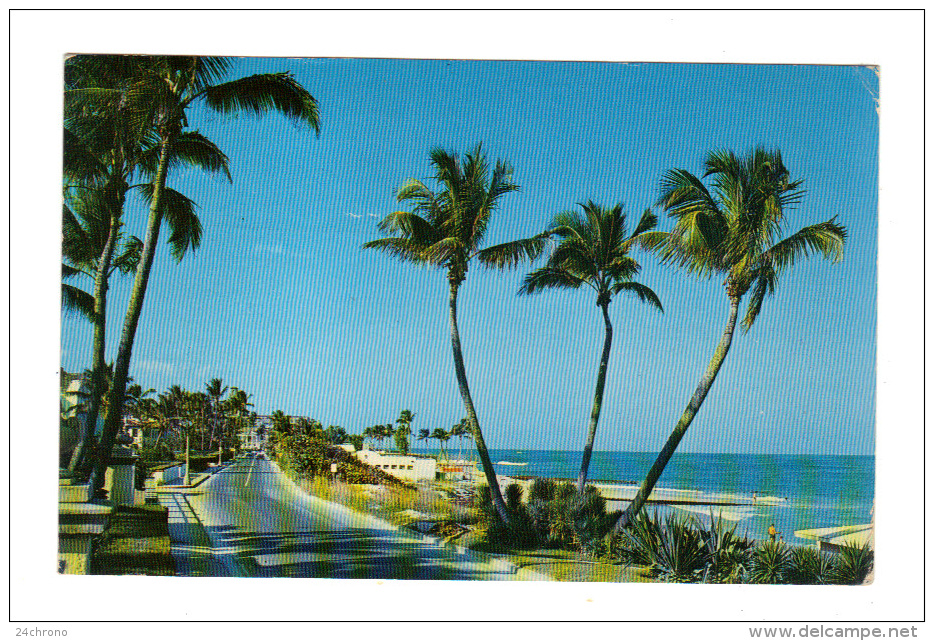 Etats Unis: View Of Beach As Seen From Ocean BLVD. In Palm Beach, Florida, Air Mail, Timbre (14-3542) - Palm Beach