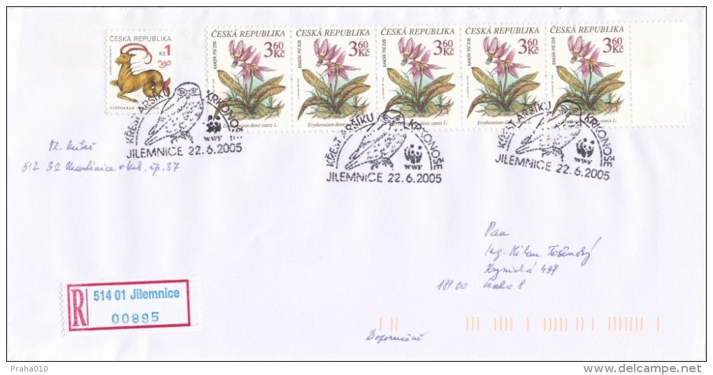 I8431 - Czech Rep. (2005) Jilemnice: Baptism Postal Souvenir Sheet "Giant Mountains" (owl; WWF Logo) - Lettres & Documents