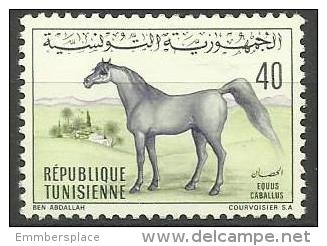 TUNISIA - 1968 Arab Horse 40m MLH *   Sc 520 - Tunisia (1956-...)