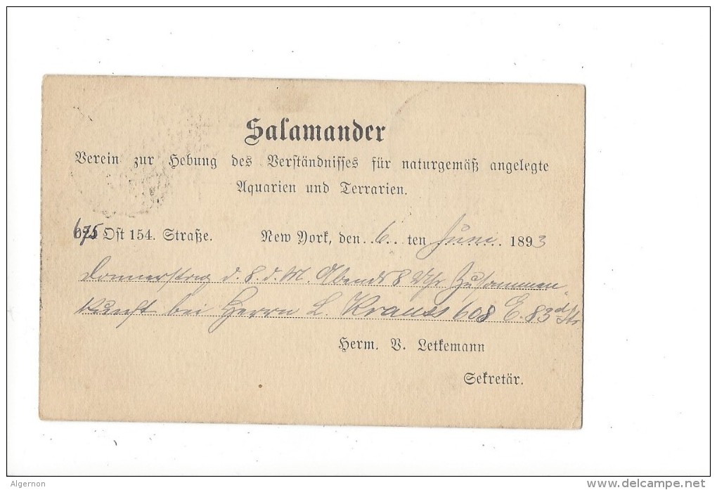 Entier Postal Association "Salamander" New York 1893 - ...-1900