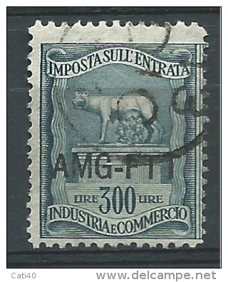 MARCA DA BOLLO/REVENUE  - TRIESTE AMG FTT -IGE  L. 300 - Revenue Stamps