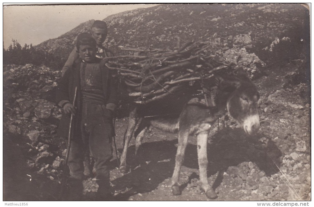 CP Photo 14-18 Albanie - Type D'enfants Albanais Avec Un Mulet (âne) Pour Le Transport Du Bois (A86, Ww1, Wk1) - Albania