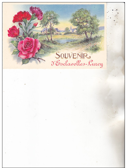 51 Esclavolles-Lurey.Souvenir  D´esclavolles Lurey. édition R Hamel  Non Circulée,Tb état. - Autres & Non Classés