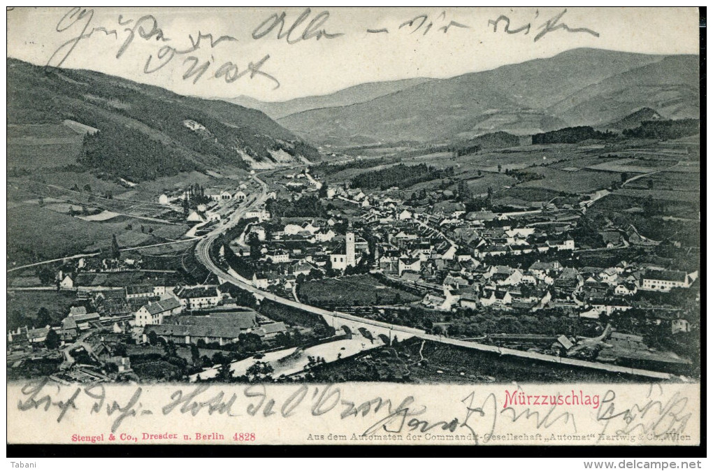 AUSTRIA MÜRZZUSCHLAG 1903 VINTAGE POSTCARD - Mürzzuschlag