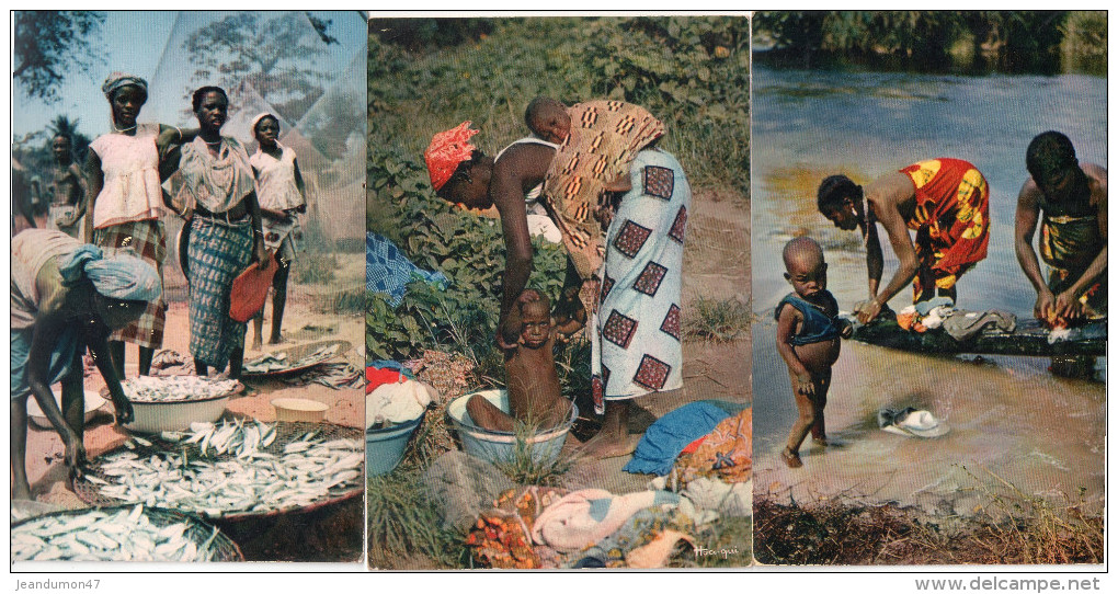 LOT DE 8 CARTES - AFRIQUE EN COULEURS. NON CIRCULEES. N° 3200, 3467, 3473, 3642, 3644, 3648, 3651.  LEGENDE DESCRIPTION - Africa