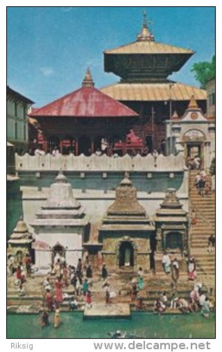 Temple Of Pasupati Nath, Kathmandu . -  Nepal   S-1662 - Nepal