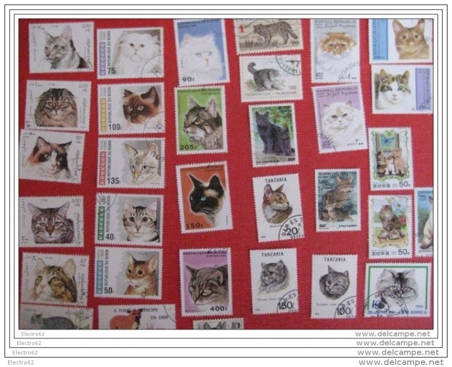 Timbres Chat Cat Gato Katze Gatto Pisica Katt - Chats Domestiques