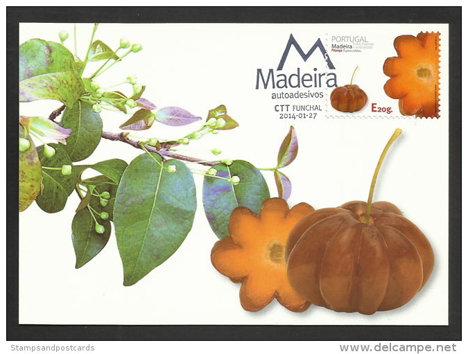 Portugal Fruits De Madère Cerisier De Cayenne Carte Maximum 2014 Madeira Fruit Pitanga Eugenia Uniflora Maxicard - Maximum Cards & Covers