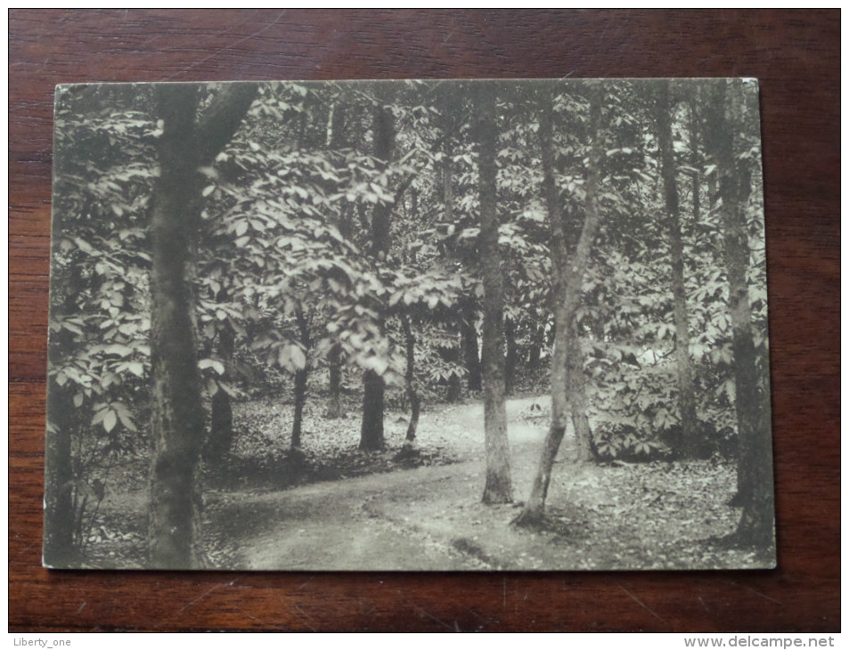 St. MICHAËLSGESTICHT Esschen ( Grens ) Wandeling / Anno 1949 ( Zie Foto Voor Details ) !! - Essen