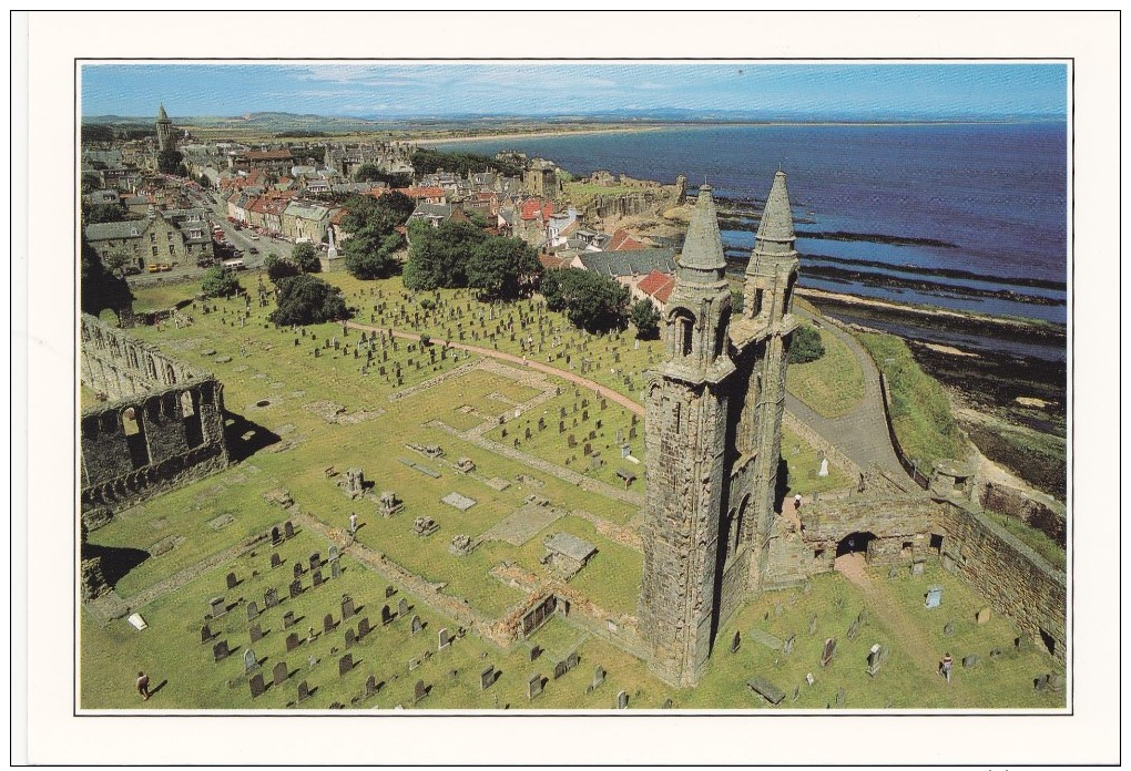 Big Card, St.Andrew`s Cathedral, St.Andrews, Fife, Scotland, L19. - Fife