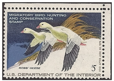 United States, Scott 2015 # RW44,  Issued 1977,  Single,  NH,  Cat $ 16.00,  Birds - Duck Stamps