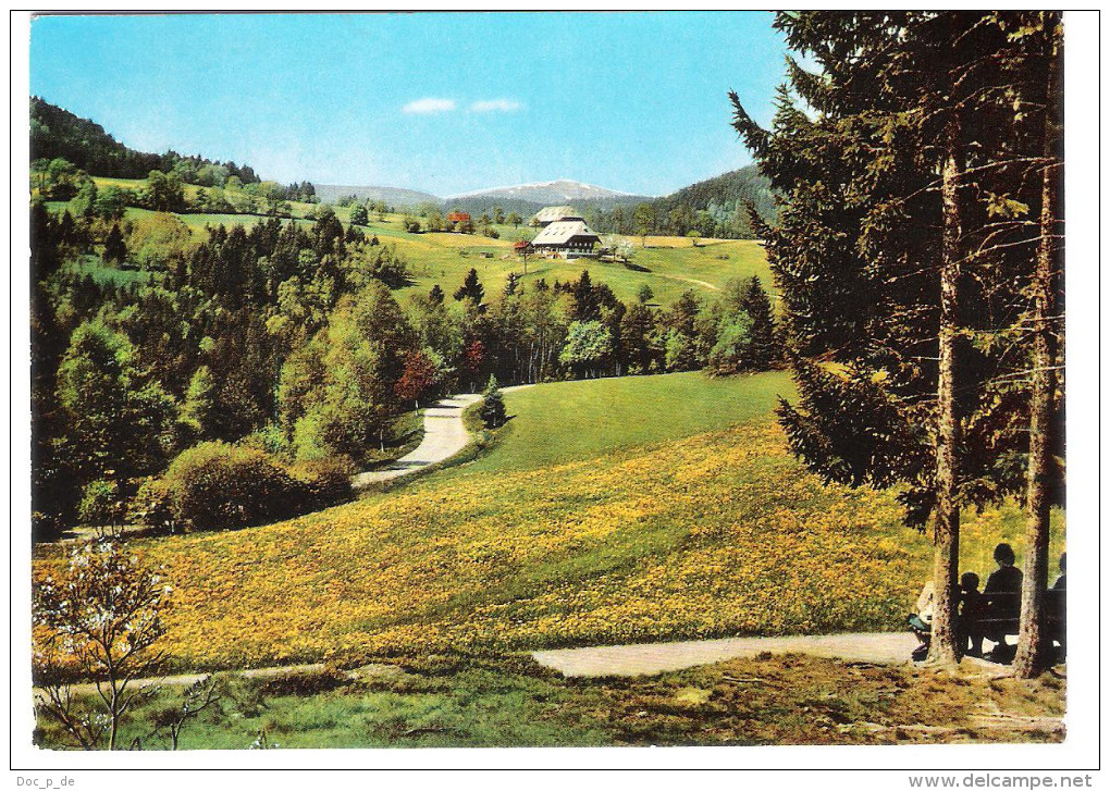 Deutschland - Hinterzarten Im Schwarzwald Mit Feldberg - Feldbergblick - Hinterzarten