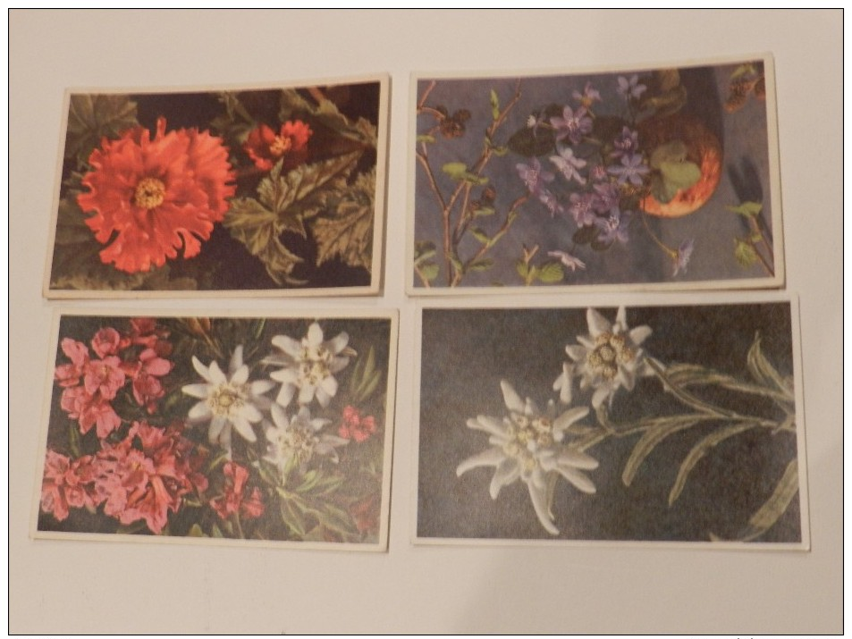 LOT 4 CARTES POSTALE ANCIENNE /  FLEURS /  EDITIONS GYGER KLOPFENSTEIN / SUISSE - Autres & Non Classés