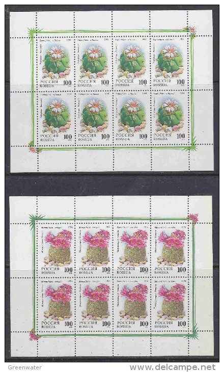 Russia 1994 Flowers 2 Sheetlets ** Mnh (18071) - Blocks & Kleinbögen