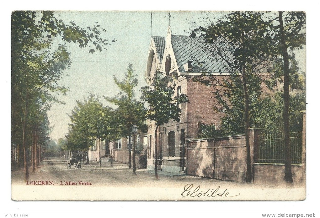 Carte Postale - LOKEREN - L'Allée Verte - CPA Couleur 1905  // - Lokeren
