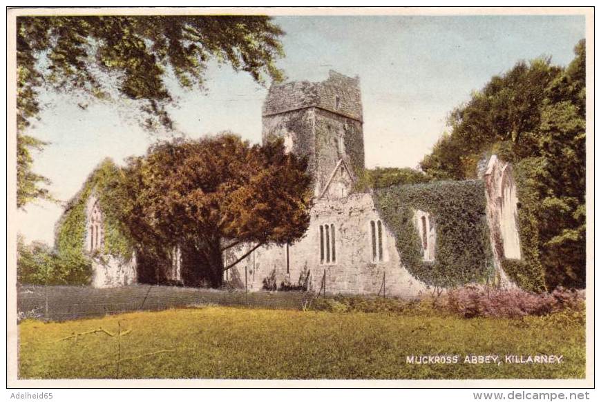 NV6/  Muckross Abbey Killarney Kerry Co. Ireland - Kerry