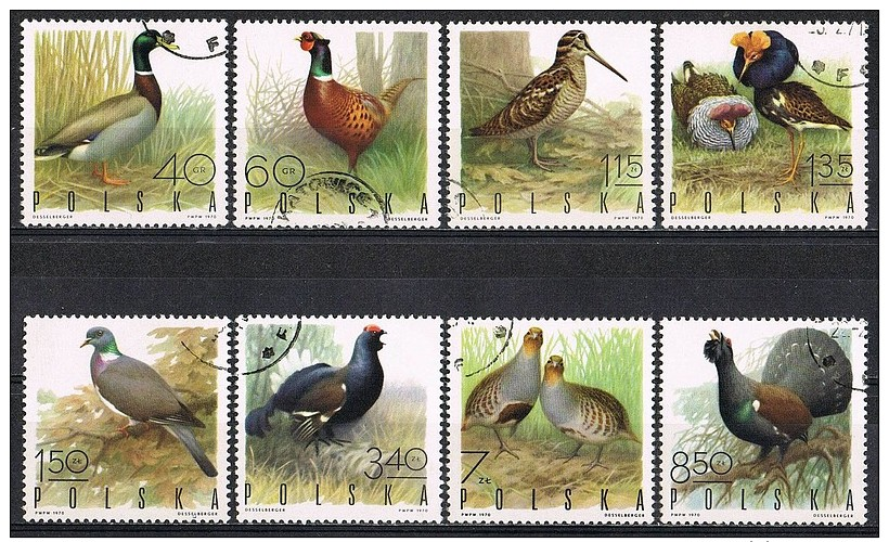 K494 FAUNA VOGELS BIRDS OISEAUX VÖGEL AVES HAAN DUIF DOVE EEND DUCK FAZANT PHEASANT POLEN POLAND 1970 Gebr / Used - Autres & Non Classés