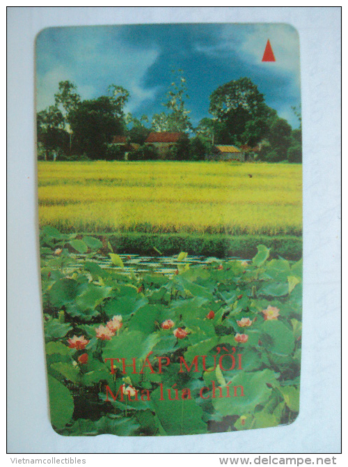 Vietnam Viet Nam Used Magnetic 60000d Phone Card / Phonecard : Thap Muoi / 02 Images - Viêt-Nam