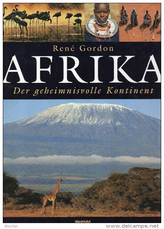 Bildband Afrika Geheimnissvolle Kontinent RSA Block 7,8,9,12+BM ** 76€ Africa Philatelic M/s Bird Sheets Bf Ciskei/Venda - Africa