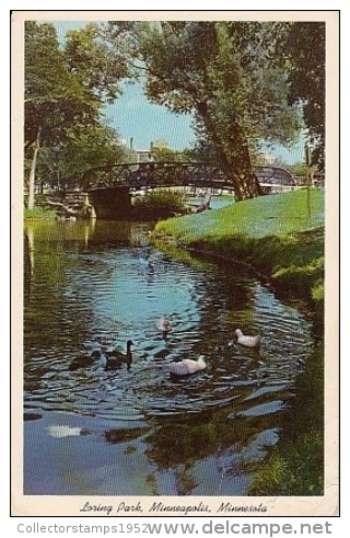 7316- POSTCARD, MINNEAPOLIS- LORING PARK, DUCKS, GEESE, BRIDGE - Minneapolis