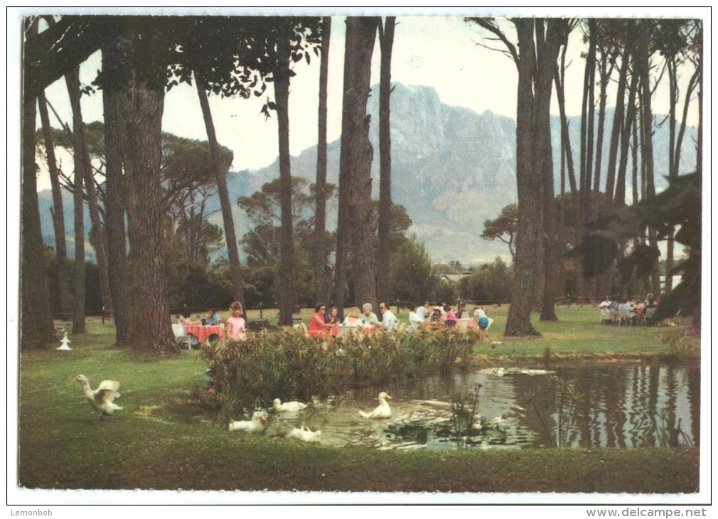 South Africa, Le Pique-Nique At Boschendal, Wine Estate, Used Postcard [14081] - South Africa