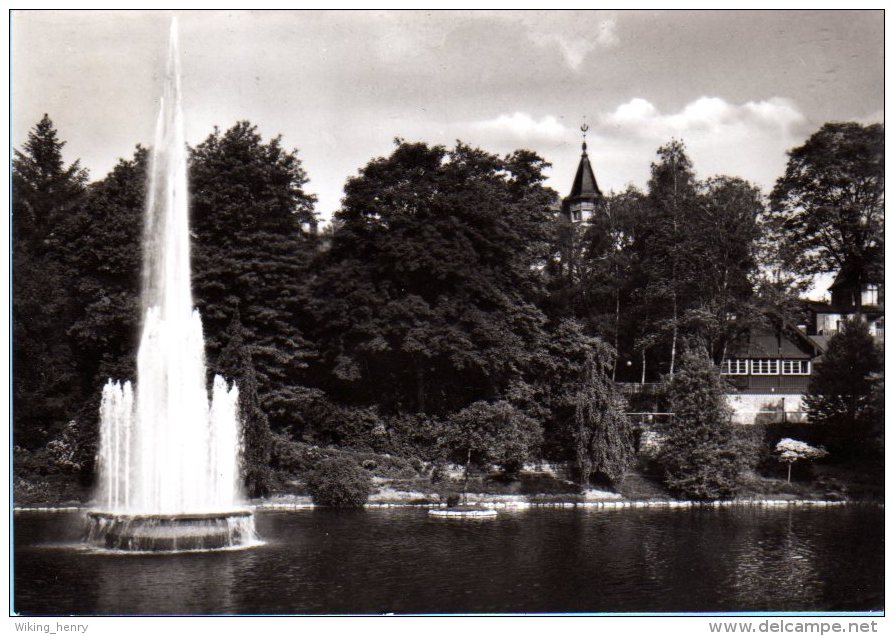 Aue In Sachsen - S/w Im Stadtgarten - Aue