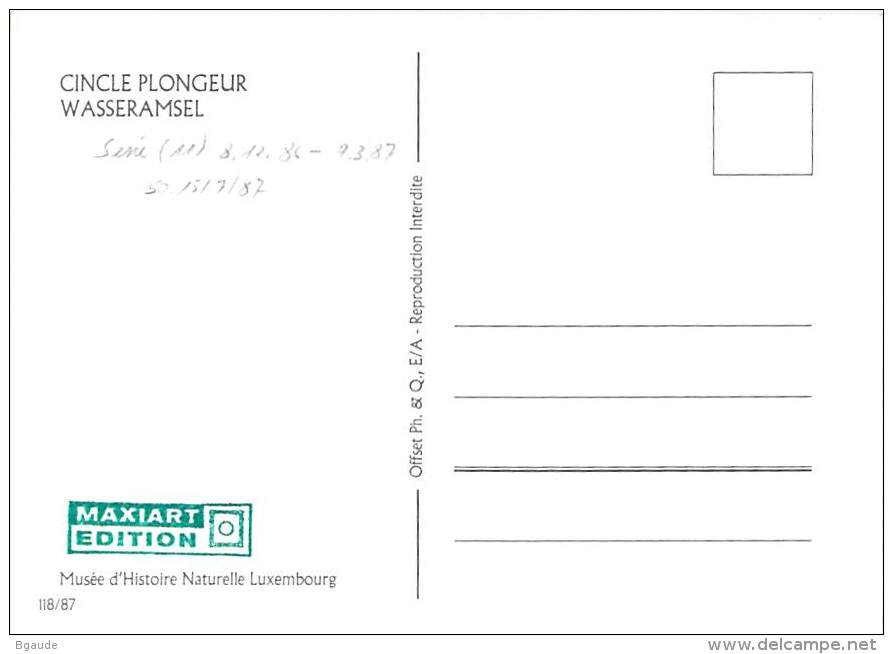 LUXEMBOURG  CARTE  MAXIMUM  NUM-YVERT  1120 PROTECTION DE LA NATURE  FAUNE OISEAU - Cartoline Maximum