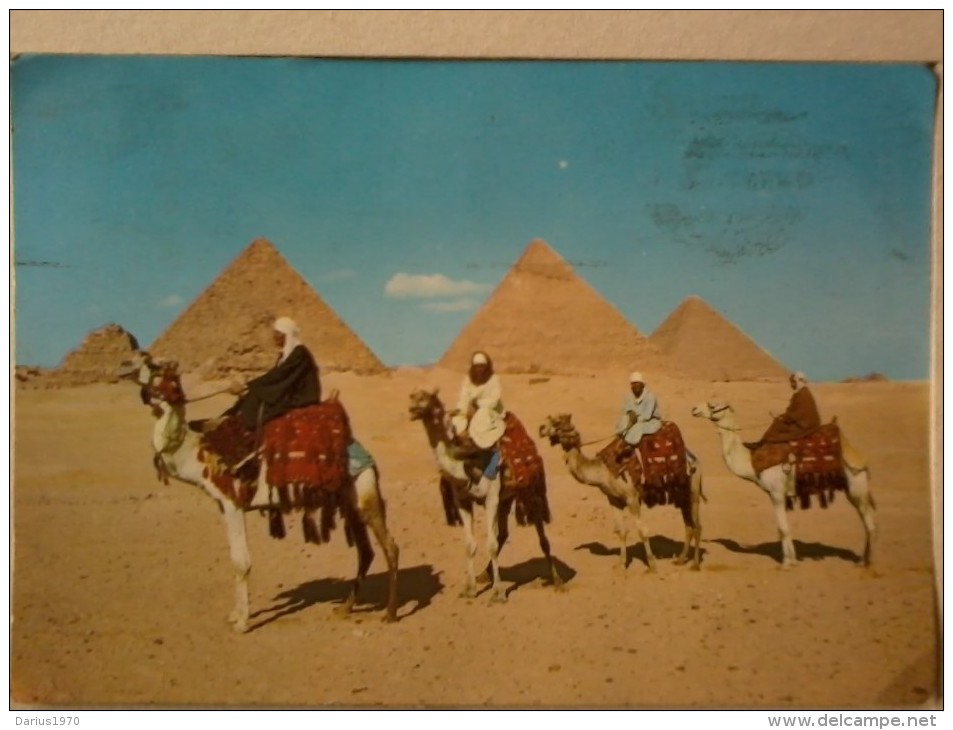 Cart. -  Egitto Giza -  Cammellieri Arabi Di Fronte Alle Piramidi. - Dschirdscha