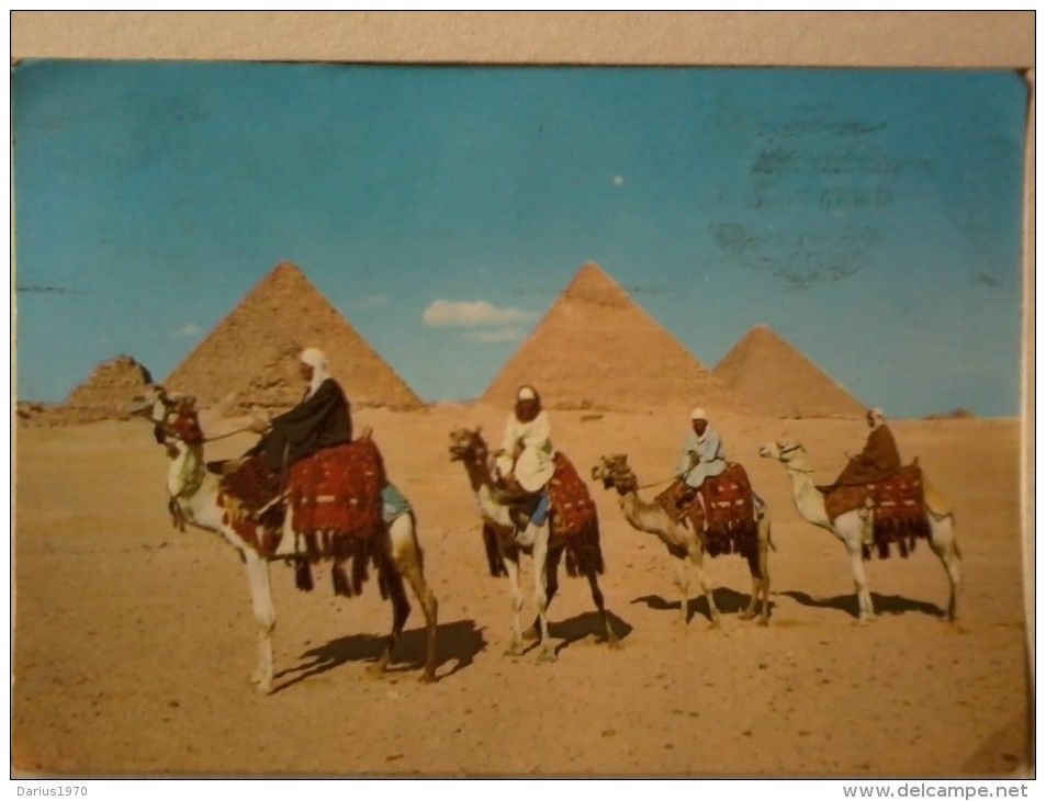 Cart. -  Egitto Giza -  Cammellieri Arabi Di Fronte Alle Piramidi. - Girga