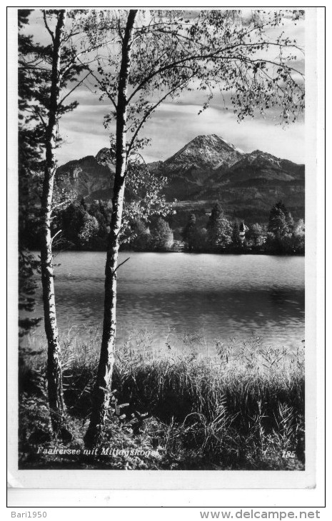 Faakersee  Mit Mittagskogel - Faakersee-Orte