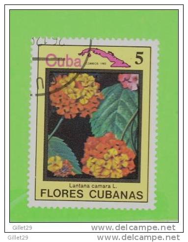 TIMBRES - CUBA - LOT DE 10 TIMBRES DE FLEURS - USED - FLOWERS - - Collezioni & Lotti