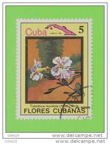 TIMBRES - CUBA - LOT DE 10 TIMBRES DE FLEURS - USED - FLOWERS -