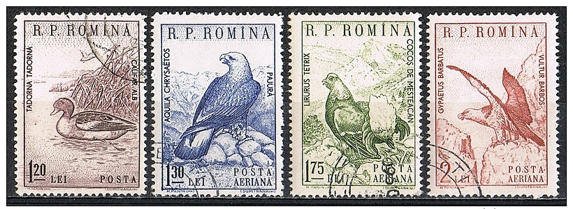 K532 FAUNA VOGELS BIRDS OISEAUX VÖGEL AVES GANS GOOSE ADELAAR EAGLE GIER GEIER ROMANA ROMANIA 1960 Gebr / Used - Autres & Non Classés