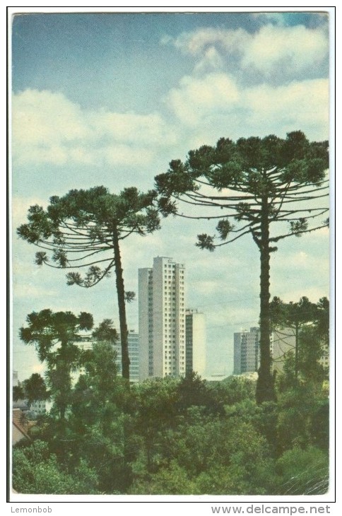 Brazil, Brasil, CURITIBA, Vista Parcial Com Pinheiros, 1967 Used Postcard [14127] - Curitiba