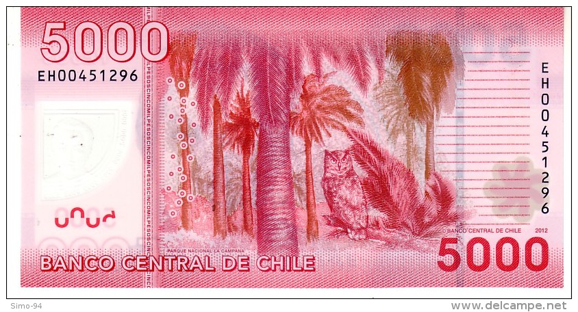 Chile P.163 5000 Pesos 2012   Unc - Chile