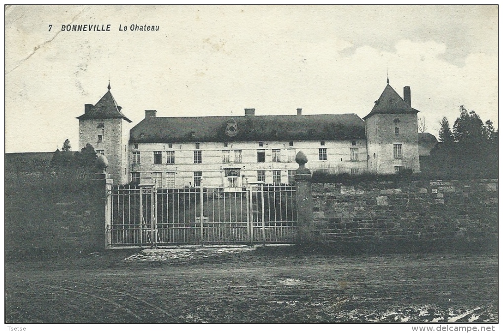 Bonneville - Le Château - Correspondance Et Oblitération Allemande - 1917 ( Voir Verso ) - Andenne