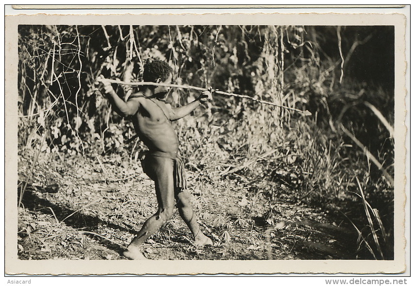 Real Photo 134 Oubangui Chasseur Babinga Pygmé Nu Avec Lance Nude Pygmé Hunter Edit Pauleau Douala - Centrafricaine (République)