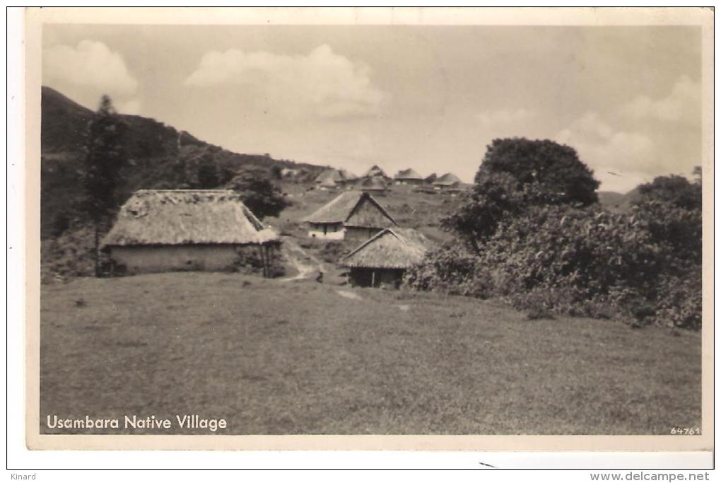 CPA.  TANZANIE ..... USAMBARA NATIVE VILLAGE..  CARTE PHOTO.. TBE. - Tansania