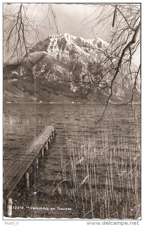 AK 1019  Vorfrühling Am Traunsee - Foto Rhomberg Um 1960 - Traun