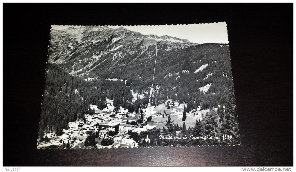 C-19088 CARTOLINA MADONNA DI CAMPIGLIO M.1550 - PANORAMA - Trento