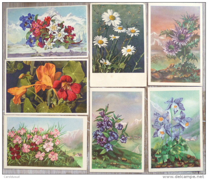 LOT 11X  Litho Illustrateur Amag  3440 SP GYGER Stehli Fleurs Des Alpes Montagne Edelweiss Etc - Sammlungen & Sammellose