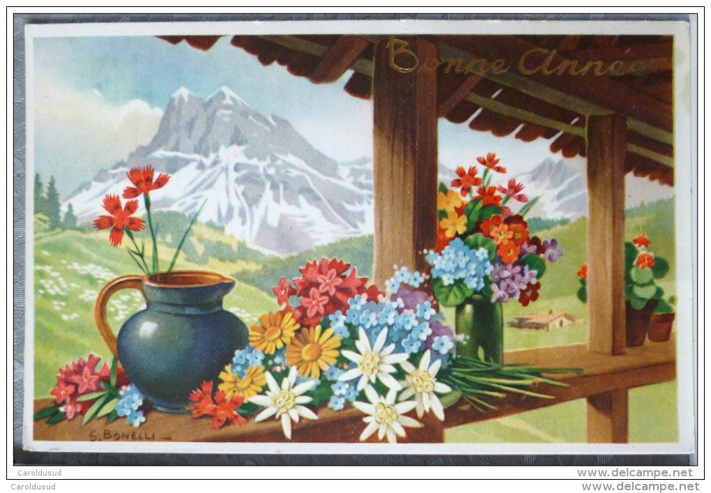 LOT 11X  Litho Illustrateur Amag  3440 SP GYGER Stehli Fleurs Des Alpes Montagne Edelweiss Etc - Sammlungen & Sammellose
