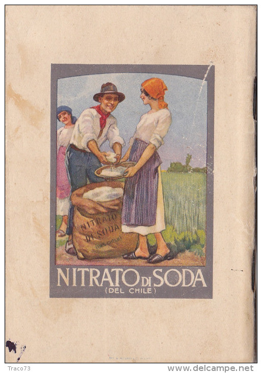 CALENDARIO 1924 /  " LIBRETTO APPUNTI PER L'AGRICOLTORE " _ ILLUSTRATORE - Kleinformat : 1921-40