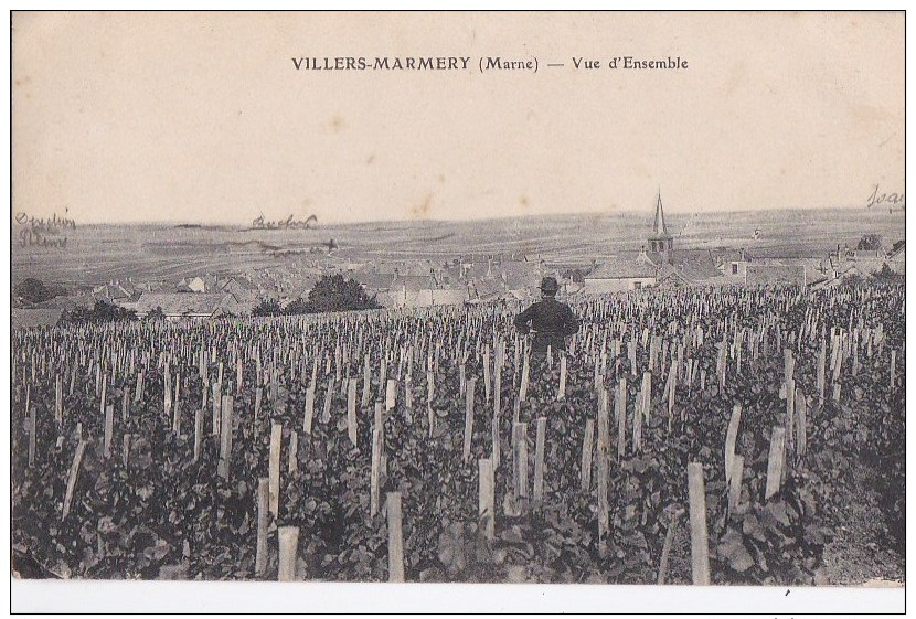 51 VILLIERS MARMERY  Homme Dans Les VIGNES VIN RAISIN Et Vue Sur Le VILLAGE Maisons EGLISE à Travers CHAMPS - Sonstige & Ohne Zuordnung