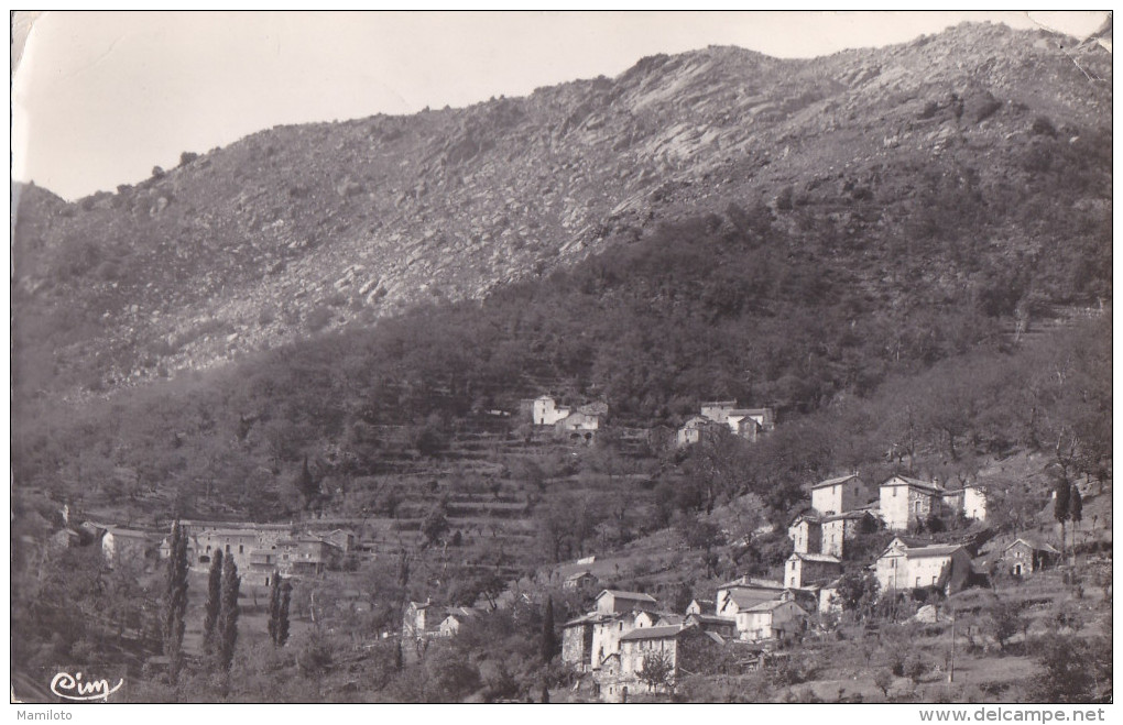 VILLEFORT ( 48 ) Vue Sur La Ville , Dans Le Fond Montagne De Grattassa. - Villefort