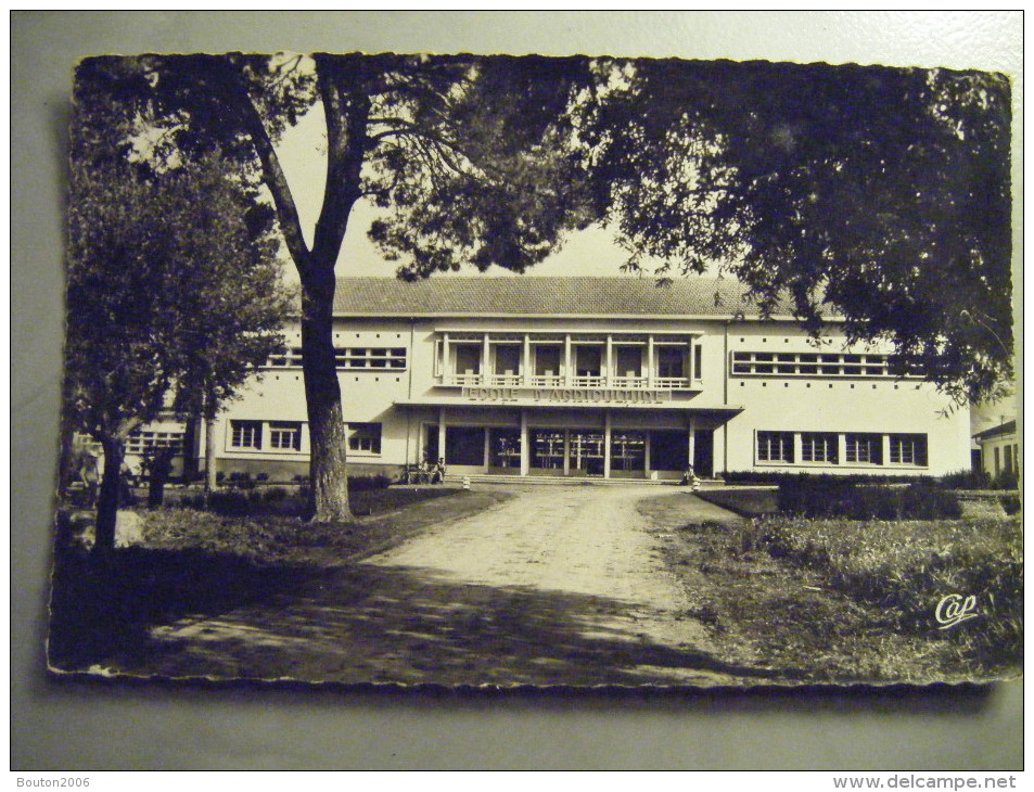 Guelma L'école D'agriculture - Guelma